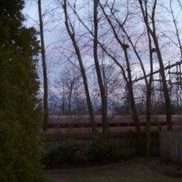 Over My Fence