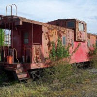 Caboose_in_the_Weeds