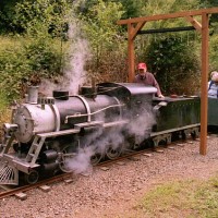 18 inch gauge steam