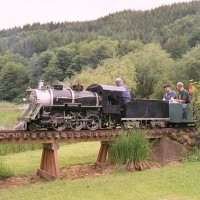18 inch gauge steam