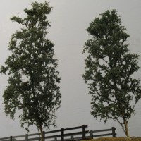 New trees