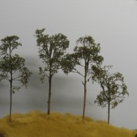 Southern yellow pine