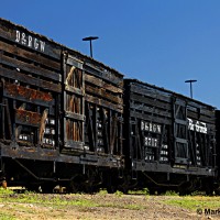 DRGW Cattle Cars