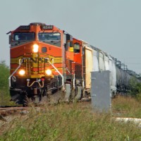 BNSF in the weeds