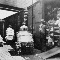 Unloading Cotton