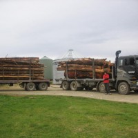 One of our sons,stock truck driver but did a few loads of fire wood logs from near here to nelson @150miles.Next load he did loader driver put log through back window!Bit draughty by the time he got to nelson.2008
