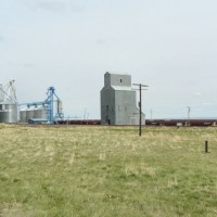 Hoppers staged at Carter, MT at grain loader