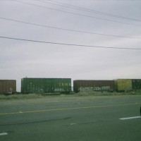 A cut of cars near a mill in Patterson, Ca. This is on the old SP Westside line, now the California Northern.