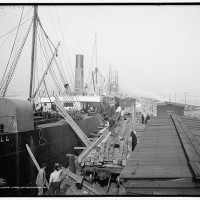 4a13389r Detroit Publishing Co. Loading lumber steamer, Gulfport, Miss 2