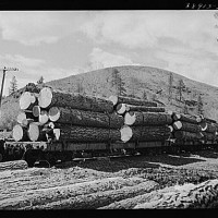 Train log load
