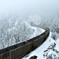 More empties at snowy Tunnel 2