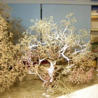 Tree making with sea foam