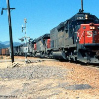Southern Pacific Takes the Cutoff - 1984