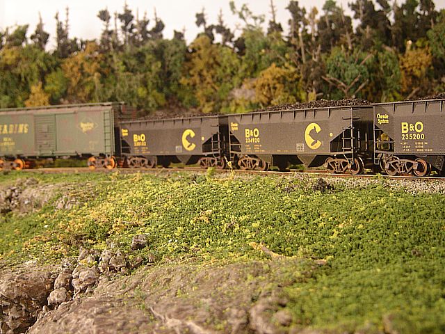 Cat_hill_010a.jpg