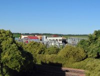 IMG_1345.jpg