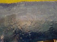20190125_120343.jpg