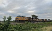 IMG_2858.jpg