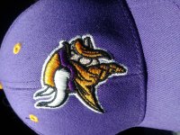 20190927_111047 Vikings.jpg