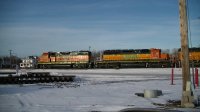 PIC_0802.JPG