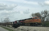 IMG_3019.jpg