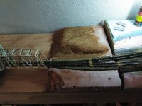 IMG_20200327_195221.jpg