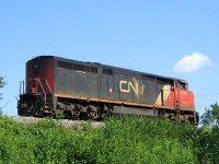 Train - CN 2446 (003).jpg