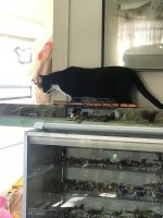 thumbnail_IMG_8558.jpg