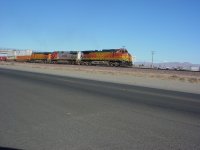 DSC00253.JPG