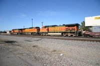 IMG_9556.JPG