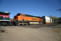 IMG_9784.JPG