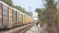 Train-Autorack-IMG_9613.JPG