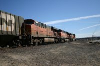 IMG_9937.JPG