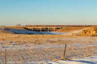 _MG_7929.jpg