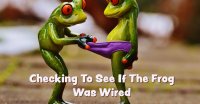 Frog Wired.jpg