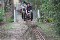 Live Steam Goanna.jpg