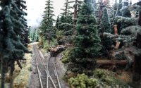 Logging Train-4.jpg