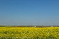 _MG_4008.jpg