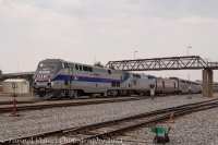 _MG_6386.jpg