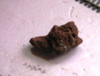 Rock Mold base.JPG