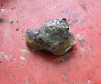 Rock Mold1.JPG