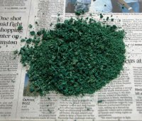 Green Ground Cover.JPG