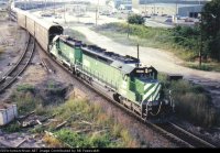 BN 6300 Cat.jpg