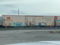 IMG_6531.jpg
