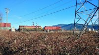 20240204_150718_HDR[1].jpg