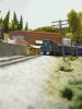 NWR Local (1).gif