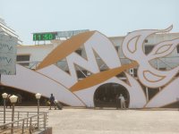 IMG_20240502_115034_077.jpg