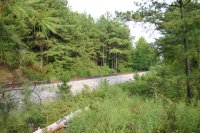 IMG_3825.JPG