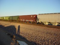 DSC00333.JPG