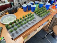 2024-07-13 Puffball Trees.jpg