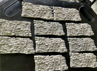 Mold Cast 4.png